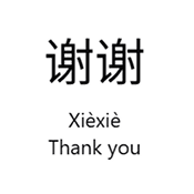 Prompt with hanzi, pinyin or English